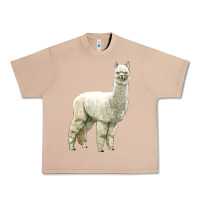 Burro Alpaca Urban Heavy Tee - LillyAllenDesigns