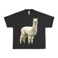 Pigment Black Alpaca Urban Heavy Tee - LillyAllenDesigns