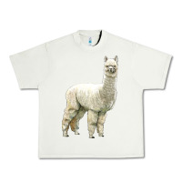 Pistachio Alpaca Urban Heavy Tee - LillyAllenDesigns
