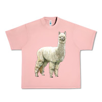 Salmon Alpaca Urban Heavy Tee - LillyAllenDesigns