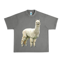 Tornado Alpaca Urban Heavy Tee - LillyAllenDesigns