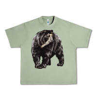 Oil Green Spectacled Bear Urban Heavy Tee - LillyAllenDesigns