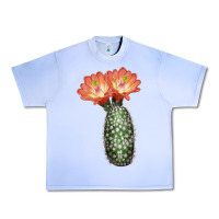 Grape Ice King Cup Cactus Urban Heavy Tee - LillyAllenDesigns