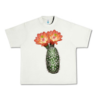 Pistachio King Cup Cactus Urban Heavy Tee - LillyAllenDesigns
