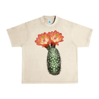 Sandshell King Cup Cactus Urban Heavy Tee - LillyAllenDesigns