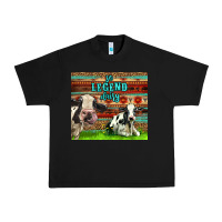 Black So Legend Dairy Urban Heavy Tee - LillyAllenDesigns