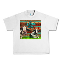 Lunar Rock So Legend Dairy Urban Heavy Tee - LillyAllenDesigns