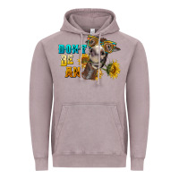 Vintage Zinc don't be an ass donkey Vintage Hoodie - BarkalooDesign