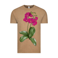 Vintage Coffee Moth Orchid Vintage Tee - LillyAllenDesigns