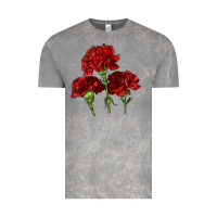 Cloud Rock Scarlet Red Carnation Illustrations Vintage Tee - LillyAllenDesigns
