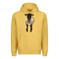 Antique Gold suffolk ewe front Premium Hoodie - BarkalooDesign