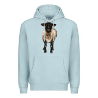 Blue Mist suffolk ewe front Premium Hoodie - BarkalooDesign
