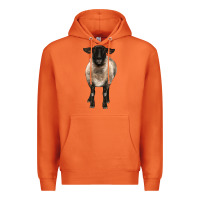 Carrot suffolk ewe front Premium Hoodie - BarkalooDesign