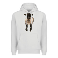 Dove Grey suffolk ewe front Premium Hoodie - BarkalooDesign