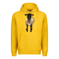 Lemon suffolk ewe front Premium Hoodie - BarkalooDesign