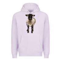 Lilac suffolk ewe front Premium Hoodie - BarkalooDesign