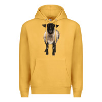 Mustard suffolk ewe front Premium Hoodie - BarkalooDesign