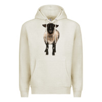 Oatmeal Heather suffolk ewe front Premium Hoodie - BarkalooDesign