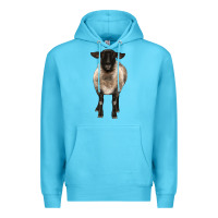 Ocean Blue suffolk ewe front Premium Hoodie - BarkalooDesign