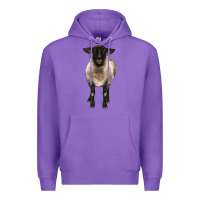 Purple suffolk ewe front Premium Hoodie - BarkalooDesign