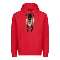 Red suffolk ewe front Premium Hoodie - BarkalooDesign
