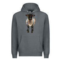 Rock suffolk ewe front Premium Hoodie - BarkalooDesign