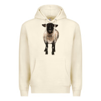 Sandshell suffolk ewe front Premium Hoodie - BarkalooDesign