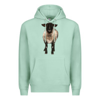 Seafoam suffolk ewe front Premium Hoodie - BarkalooDesign