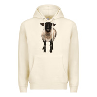 Tofu suffolk ewe front Premium Hoodie - BarkalooDesign