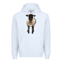 White suffolk ewe front Premium Hoodie - BarkalooDesign
