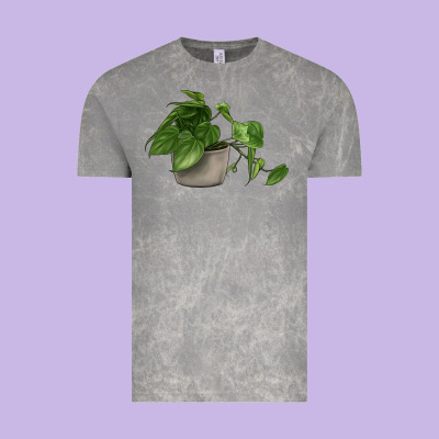 Philodendron Vintage Tee Designed By Lillyallendesigns