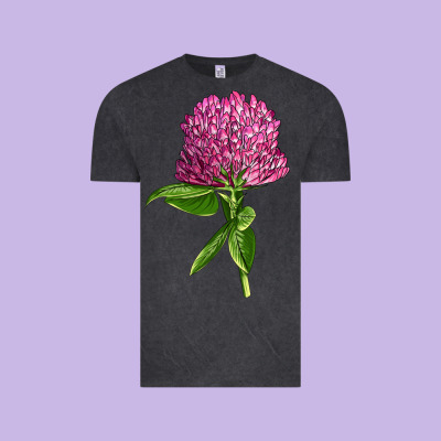 Red Clover Illustrations Vintage Tee Designed By Lillyallendesigns