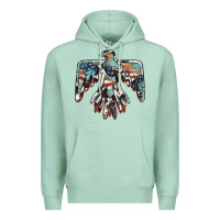 Seafoam American flag thunderbird Premium Hoodie - BarkalooDesign
