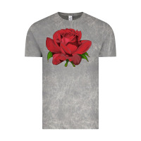 Cloud Rock Oklahoma Rose Illustrations Vintage Tee - LillyAllenDesigns