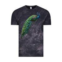 Cloud Black Peacock Vintage Tee - LillyAllenDesigns