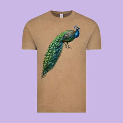 Peacock Vintage Tee Designed By Lillyallendesigns