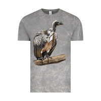 Cloud Rock Vulture Bird Vintage Tee - LillyAllenDesigns