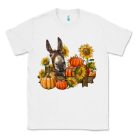 White donkey sunflower and pumpkin farm Classic Tee - BarkalooDesign