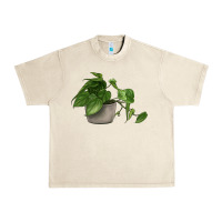 Sandshell Philodendron Urban Heavy Tee - LillyAllenDesigns