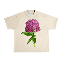 Sandshell Red Clover Illustrations Urban Heavy Tee - LillyAllenDesigns