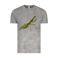 Cloud Rock mantis Vintage Tee - LillyAllenDesigns