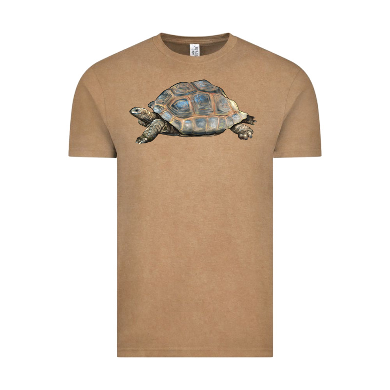 Tortoise Illustrations Vintage Tee by LillyAllenDesigns | Teevron