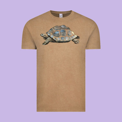 Tortoise Illustrations Vintage Tee Designed By Lillyallendesigns