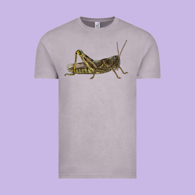Grasshopper Vintage Tee Designed By Lillyallendesigns