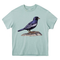 Arona Lark Bunting Colorado State Bird Heavy Core Tee - RanaPortraitStore