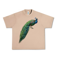 Burro Peacock Urban Heavy Tee - LillyAllenDesigns