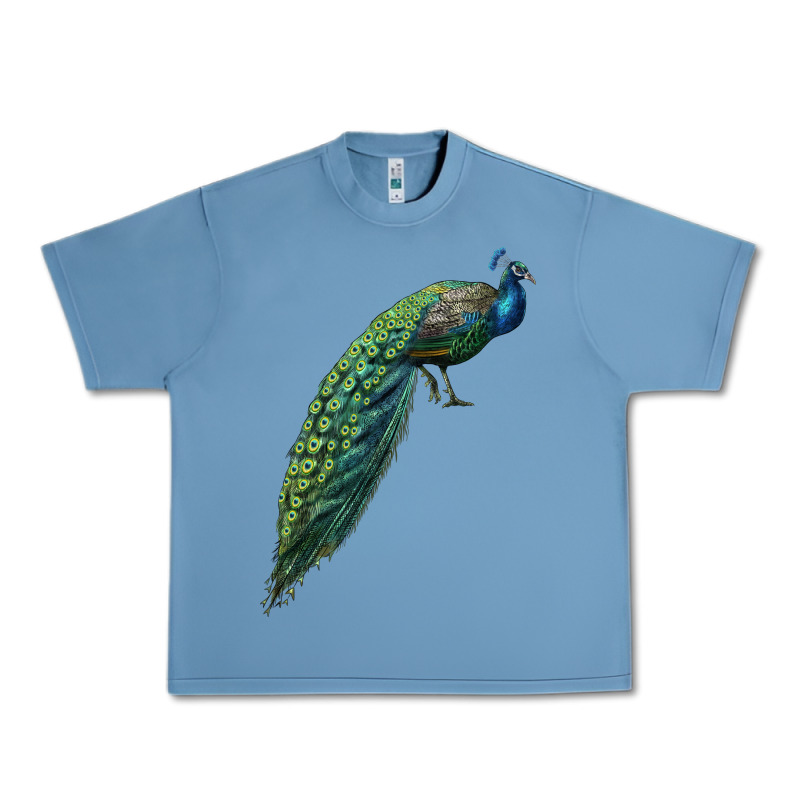 Peacock Urban Heavy Tee by LillyAllenDesigns | Teevron