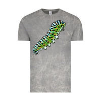 Cloud Rock Papilio Machaon Caterpillar Vintage Tee - LillyAllenDesigns