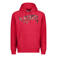 Cardinal The Struts, British Rock Glam Rock, the The Struts, The Struts art, Th Premium Hoodie - DesignPulse