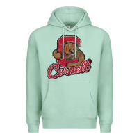 Seafoam cornell Premium Hoodie - DesignPulse